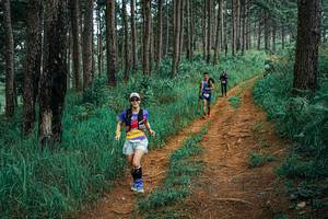 BIB: 
                            <button type="button" onclick="openModal(25659301)" class="btn btn-primary btn-sm float-right btn-popup" data-toggle="modal" data-target=".modal-high-quality">
                        <i class="fas fa-shopping-cart"></i> Add to Cart
                    </button>
                                            <button type="button" onclick="isThisMe(25659301, true)" class="btn btn-success btn-sm float-right btn-popup btn-isme hidden" data-toggle="tooltip" data-placement="bottom" title="นี่คือรูปของคุณใช่ไหม คลิกที่นี่เพื่อเอาเข้าอัลบั้ม">
                        <i class="fas fa-plus"></i> Add to album
                    </button>
                    <button type="button" onclick="isThisMe(25659301, false)" class="btn btn-warning btn-sm float-right btn-popup btn-isnotme hidden">
                        <i class="fas fa-ban"></i> Remove from album
                    </button>